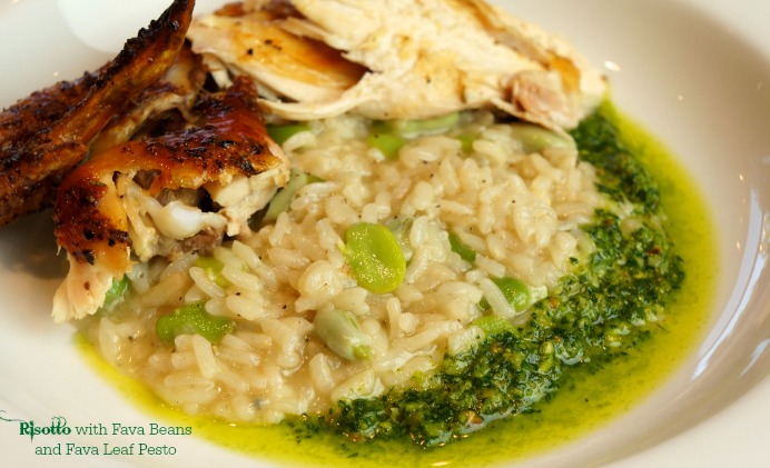 Risotto with Fava Beans and Fava Leaf Pesto