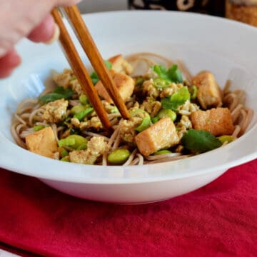 A set of chop sticks in a bowl of healthy Ma Po Tofu.