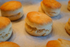 Super Simple Cream Biscuits