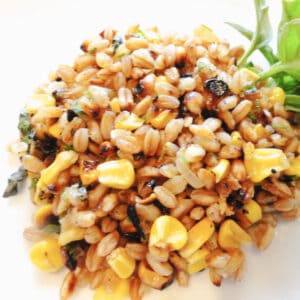 A dish of farro and fresh corn pilaf on a white plate.