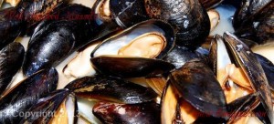 A close-up photo of Wok Smoked Mussels.