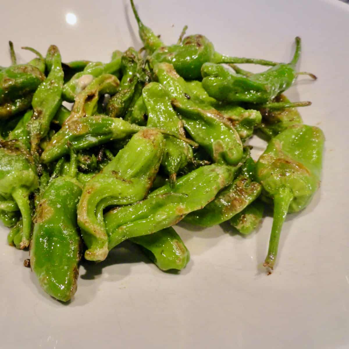 Pan Fried Padron or Shishito Peppers - LindySez Recipe