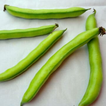 Fava beans.
