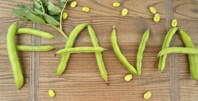 all about fava beans