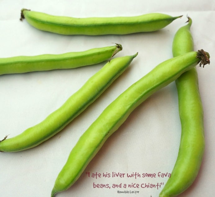 all about - fava beans