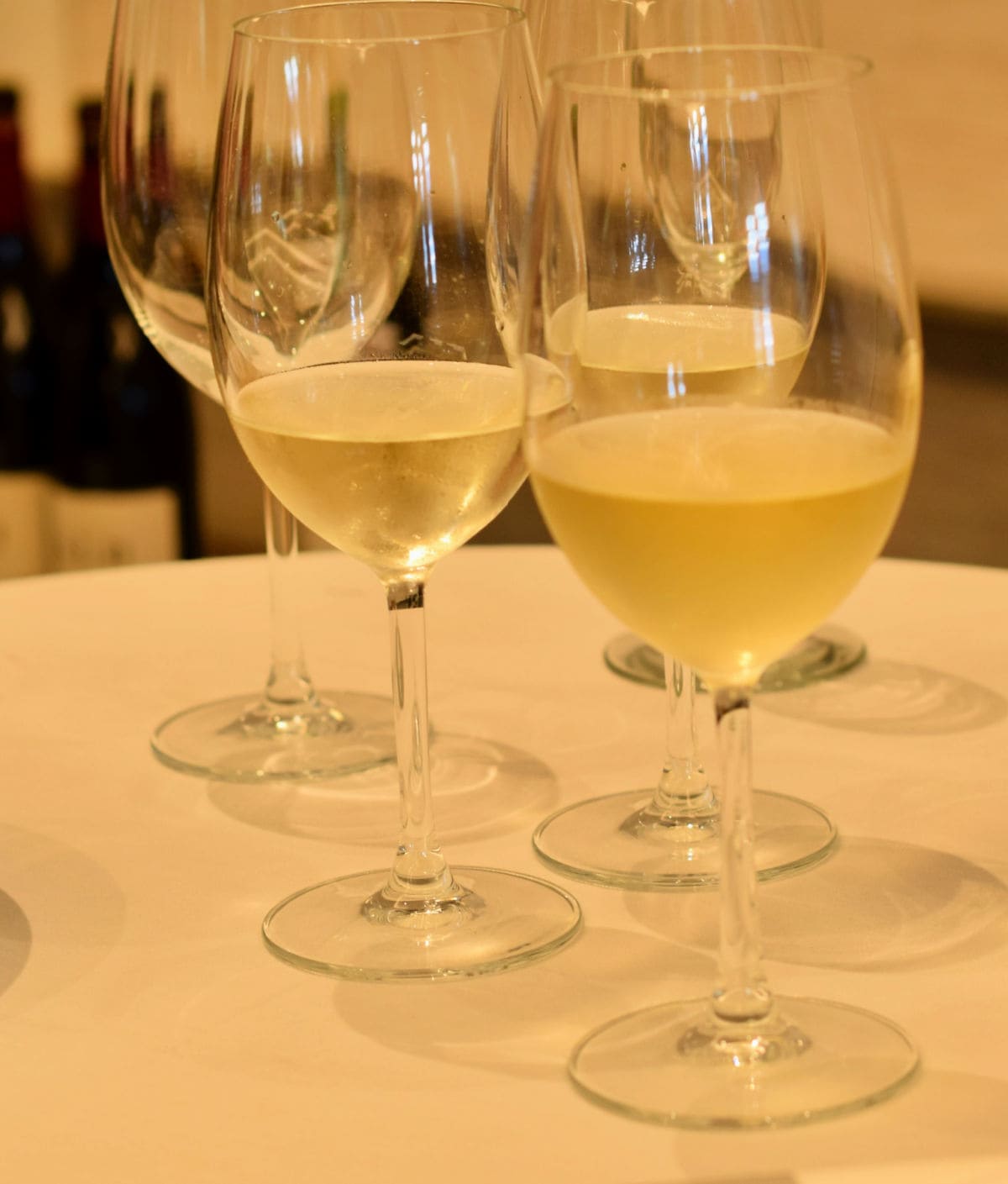 Glasses holding white wine.