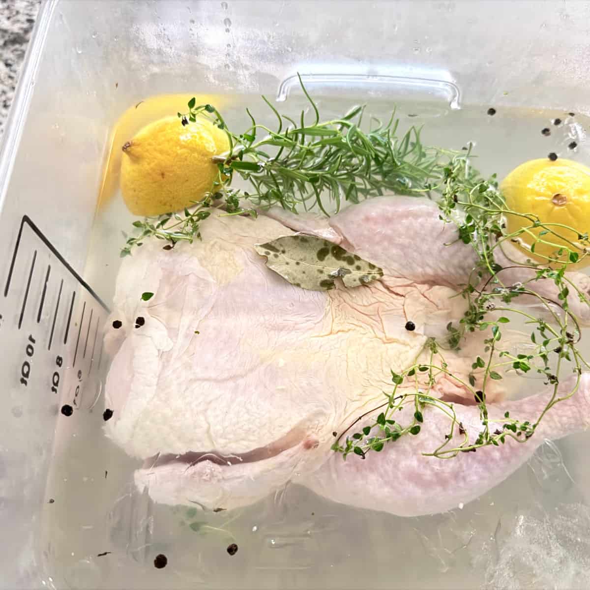 A whole chikcen in brine with lemons and herbs.