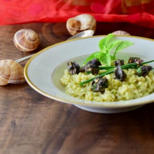 Basil Risotto with Escargot in a gold rimmed bowl with snail shells scattered about.