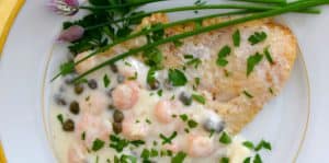 Sole with a Light Creamy Shrimp Sauce with green herbs.