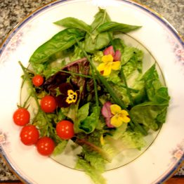 baby greens with balsamic vinagrette