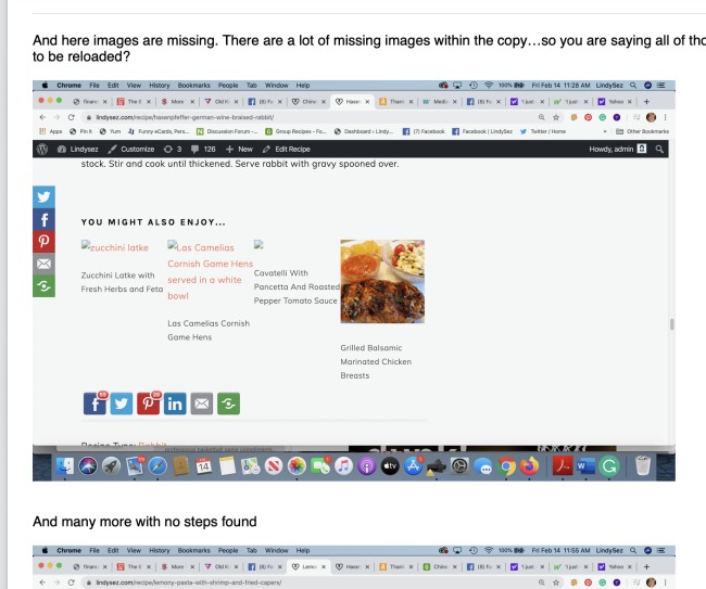 A screen shot showing missing images error on LindySez.