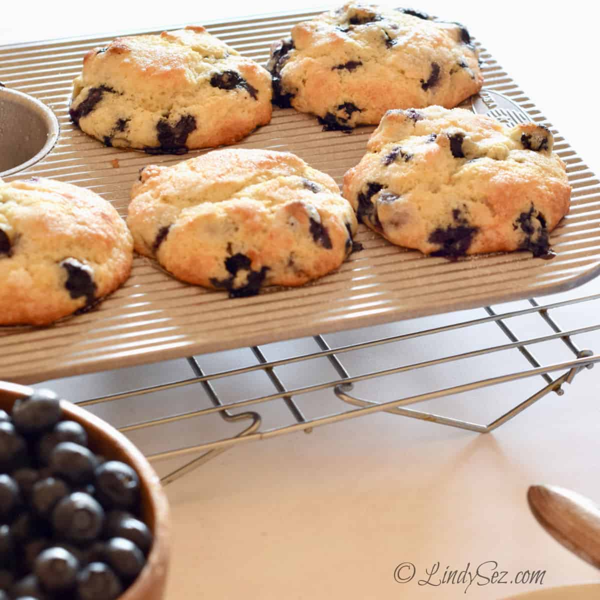 A tray of finished blueberry muffins.